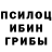 Псилоцибиновые грибы MAGIC MUSHROOMS Kenan Koiushov