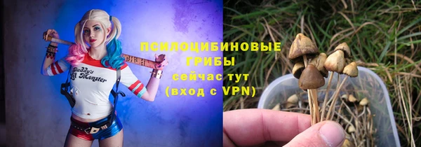 тгк Володарск