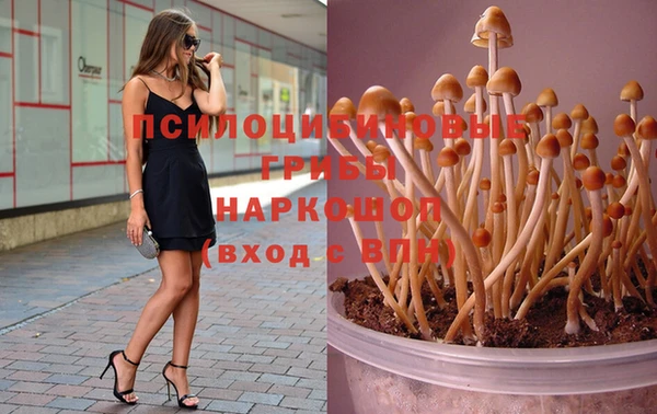 тгк Володарск