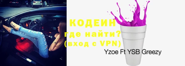 индика Волосово
