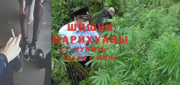 индика Волосово