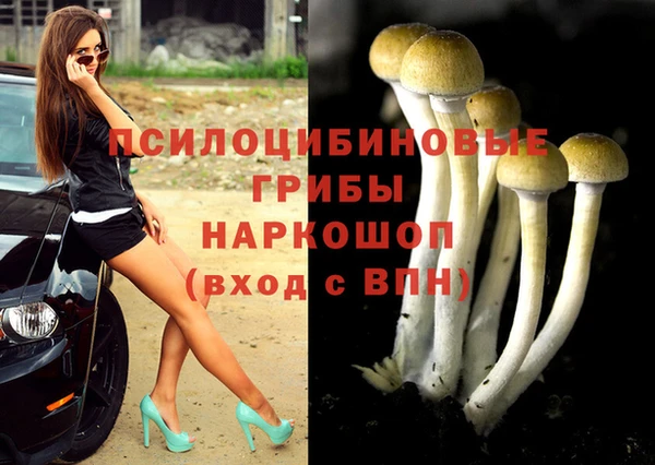 ECSTASY Волоколамск