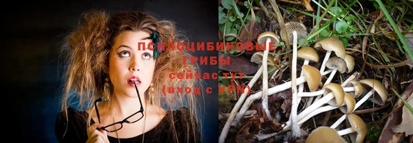 индика Волосово