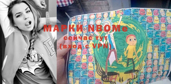 ГАЛЛЮЦИНОГЕННЫЕ ГРИБЫ Верея