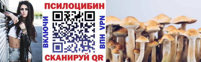 цены наркотик  Черкесск  Псилоцибиновые грибы Cubensis 